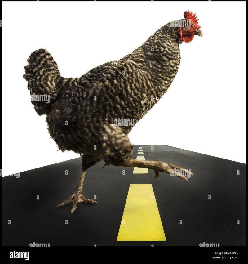 Guide to chicken road