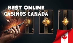 Discover the Best Online Casinos Your Ultimate Guide -192866651 Discover the Best Online Casinos Your Ultimate Guide -192866651